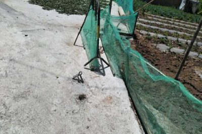 鳳縣供電公司對電桿拉線(xiàn)進(jìn)行了遷移
