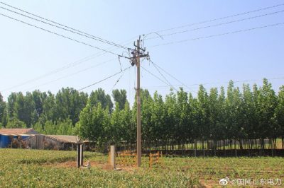 萊蕪供電公司線(xiàn)路升級改造 助力鄉村建設