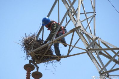 煙臺供電公司攀爬高空鐵塔檢修線(xiàn)路