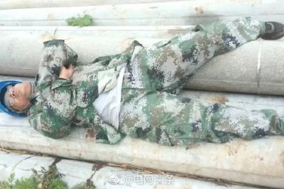 在發(fā)燙的電桿上睡覺(jué)是種什么體驗