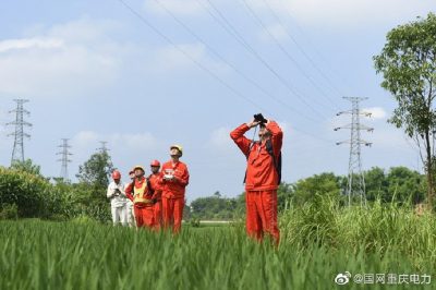 銅梁供電公司對35千伏天平線(xiàn)開(kāi)展無(wú)人機巡視