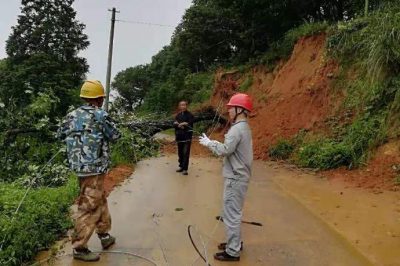 新寧電力公司員工搶修被百年大樹(shù)壓斷的電力線(xiàn)路