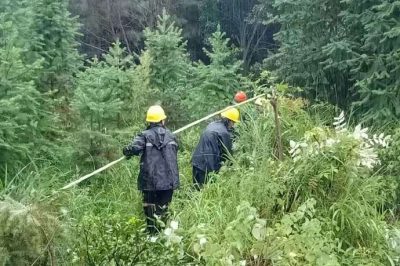 過(guò)泥濘，涉洪水，穿山谷，冒雨巡線(xiàn)護電，第一時(shí)間處理災情險情