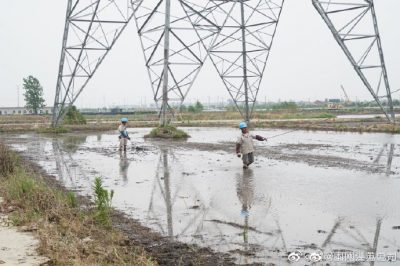 架設線(xiàn)路、安裝電纜引下線(xiàn)，解決農民秸稈焚燒問(wèn)題