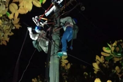 10千伏市府線(xiàn)47-右I 11號桿B相高壓跌落式熔斷器進(jìn)行緊急處理