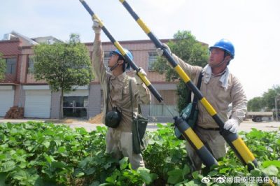 漣水縣供電公司在10千伏方渡121線(xiàn)三隊變緊固接地螺栓