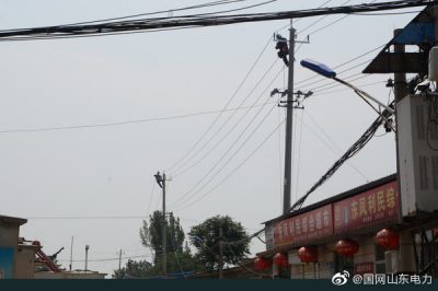 平陰縣供電公司組織對線(xiàn)路進(jìn)行絕緣化升級改造