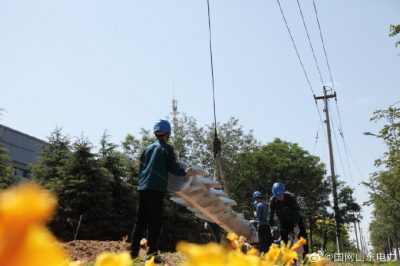 110千伏石虎站10千伏南潘線(xiàn)招辛線(xiàn)雙回架設施工現場(chǎng)