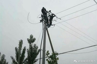 新河縣供電公司092西工線(xiàn)線(xiàn)路改造，更換大直徑絕緣導線(xiàn)