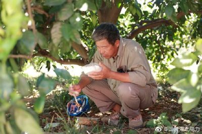 全速搶修被風(fēng)災折彎的35千伏宏發(fā)紙業(yè)線(xiàn)30-34號鐵塔