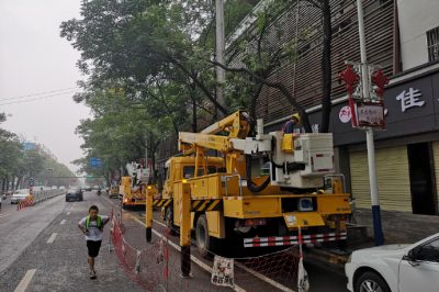 10千伏大寨線(xiàn)并組織開(kāi)展帶電作業(yè)