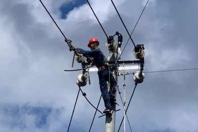 國家電網(wǎng)已恢復428.93萬(wàn)因臺風(fēng)停電客戶(hù)-恢復率77.49%