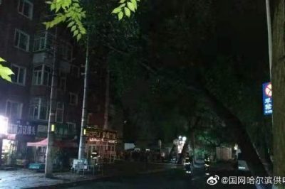 大樹(shù)傾倒導致10千伏元合線(xiàn)苗圃線(xiàn)停運并伴有電火現象