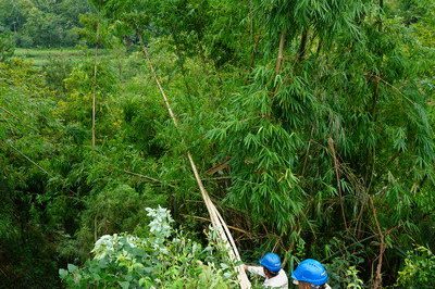萬(wàn)州供電公司搶修10千伏線(xiàn)路安裝新導線(xiàn)成功送電