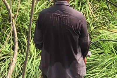 贛州開(kāi)發(fā)區供電公司搶修蟠龍鎮楊邊村10千伏章楊線(xiàn)