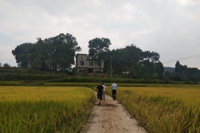 武岡市供電公司對兄弟單位開(kāi)展扶貧領(lǐng)域專(zhuān)項監督檢查