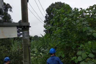 天府新區供電公司冒雨對線(xiàn)路通道進(jìn)行清理