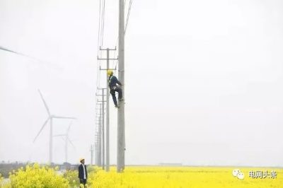 14億人全民通電如何做到的？18根電桿為1戶(hù)供電，100年無(wú)法回本