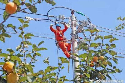 東臺市供電公司改造10千伏唐聯(lián)線(xiàn)61號桿以下線(xiàn)路