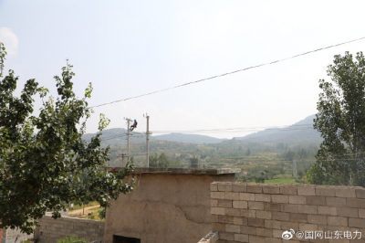 平邑縣供電公司進(jìn)行農網(wǎng)改造消除用電安全隱患