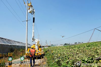 10千伏曲東線(xiàn)工業(yè)園支線(xiàn)6號桿進(jìn)行帶電消缺