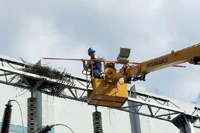 海寧市供電公司拆除贊山邊門(mén)架二號主變上兩處“巨型”鳥(niǎo)窩