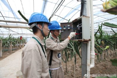 對火龍果種植基地內的用電設備進(jìn)行安全隱患檢查