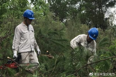 綦南供電公司對供電轄區10千伏壩扶線(xiàn)電力通道進(jìn)行樹(shù)障砍伐清理