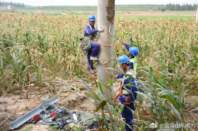 孝直鎮前洼村某牧業(yè)新建線(xiàn)路工程