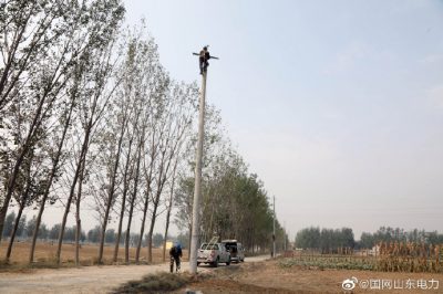 富春鄉楊樓村村頭架設10千伏線(xiàn)路優(yōu)化配網(wǎng)
