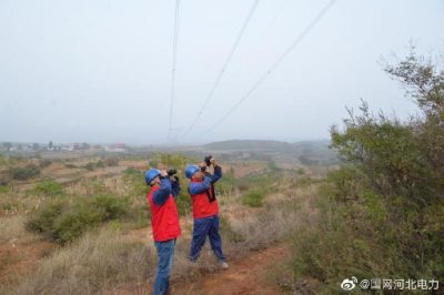 元氏縣供電公司巡視500千伏線(xiàn)路  清理樹(shù)障