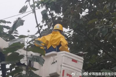 10千伏線(xiàn)路182馬寨線(xiàn)帶電作業(yè)清理線(xiàn)下障礙物6處