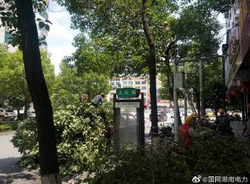 #向配網(wǎng)開(kāi)戰#風(fēng)景這邊獨好，砍青掃障