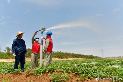 采用電氣化噴灌，節能又增收