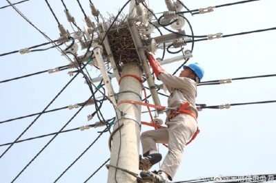 轉移10千伏線(xiàn)路電桿橫擔上鳥(niǎo)窩