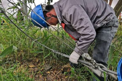肇事拉線(xiàn)傷、電工搶修忙