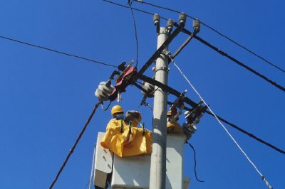 10千伏線(xiàn)路帶電安裝占位器降低鳥(niǎo)害