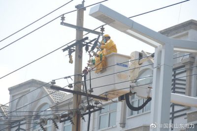 拆除分支引線(xiàn)  更換跌落式熔斷器
