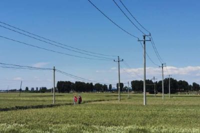 為正在夏收的農民朋友開(kāi)展電力設施保護宣傳