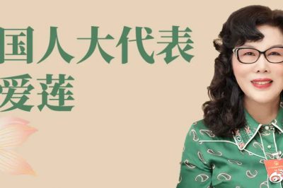 全國人大代表陳愛(ài)蓮：國家電網(wǎng)戰略是我國能源高質(zhì)量發(fā)展的重要途徑