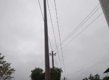 暴雨致電桿歪斜，供電員工搶修扶正