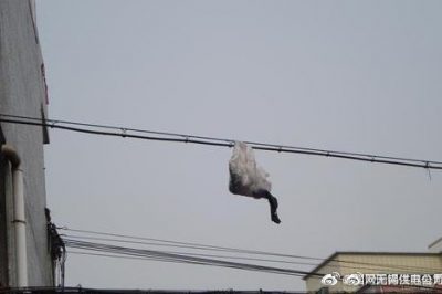 你的隨手一“拋”，可能導致跳閘停電！