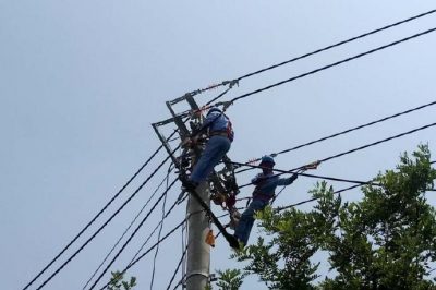 電網(wǎng)線(xiàn)路改造忙，迎峰度夏有保障