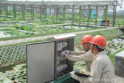 國網(wǎng)南京市江北新區供電公司安裝變壓器、環(huán)網(wǎng)柜、配電箱等配電設備