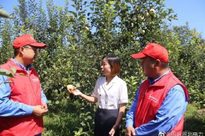 到新華村長(cháng)嶺山莊，幫助客戶(hù)檢查用電設備